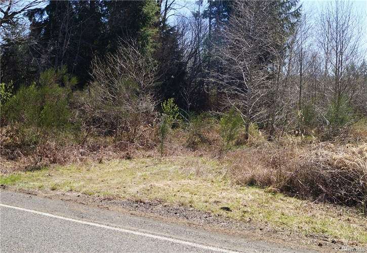 1910 North River Rd, Cosmopolis, WA 98537