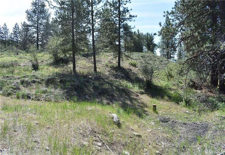 Lot 45 & 46 Sunset Blvd, Methow, WA 98862