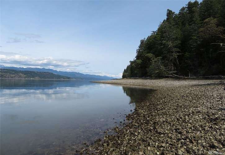 XXX NE Manke Rd, Tahuya, WA 98588