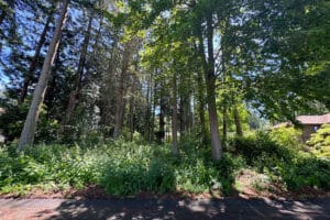 Semiahmoo Building Lot For Sale