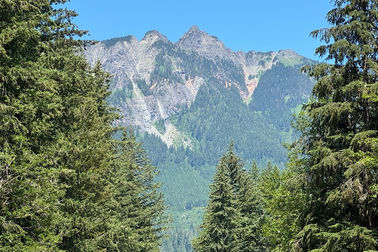 Charming Mt. Baker Condo: Ideal Vacation Rental in Nature's Playground