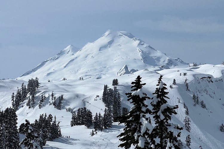 Moving To Glacier, Washington: Your Guide To Living Near Mount Baker