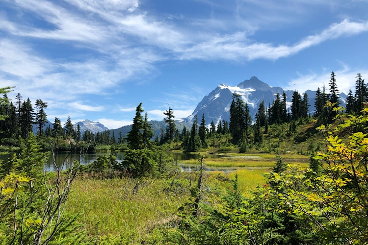 Moving To Glacier, Washington: Your Guide To Living Near Mount Baker