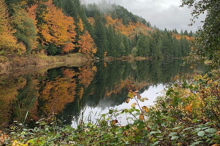 Bellingham Lakes and Parks