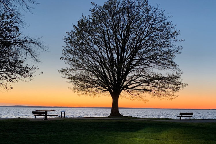 Bellingham Waterfront Park