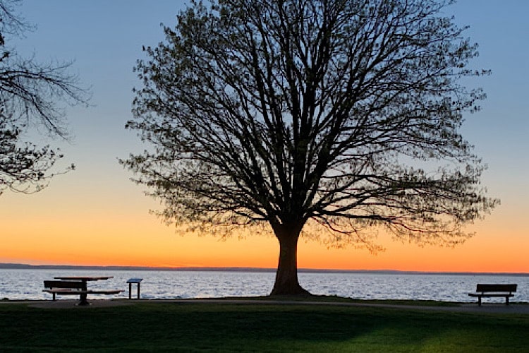 Boulavard Park at Sunset