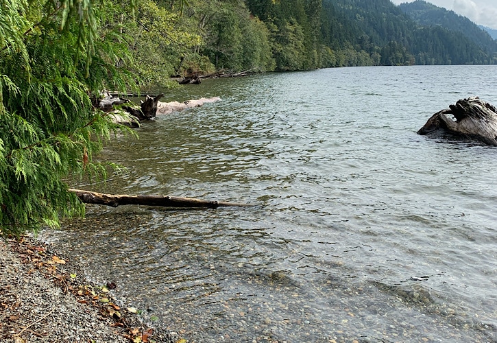 Lake Whatcom next to a trail